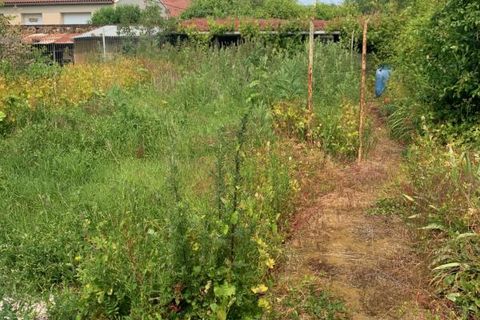 Villa i Sevremoine, Maine-et-Loire, Sevremoine - € 220.500 | Ref: 230_MMR1-0024552 - foto 14