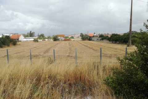 Helårsgrund i Alcochete, Setubal, Alcochete - € 3.150.000 | Ref: SÒL_24 - foto 4