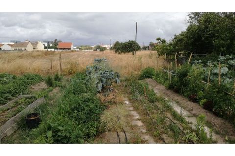 Helårsgrund i Alcochete, Setubal, Alcochete - € 3.150.000 | Ref: SÒL_24 - foto 9