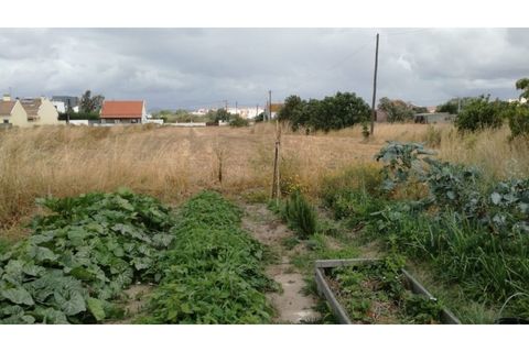 Helårsgrund i Alcochete, Setubal, Alcochete - € 3.150.000 | Ref: SÒL_24 - foto 10