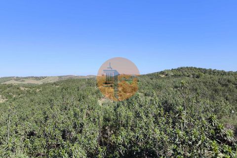 Helårsgrund i Castro Marim, Faro, Castro Marim - € 55.900 | Ref: SU-CS-TER-93900 - foto 12