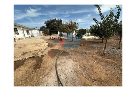 Helårsgrund i Beringel, Beja, Beringel - € 185.000 | Ref: SÒL_1739 - foto 5