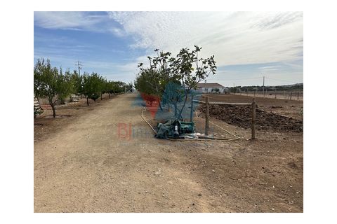 Helårsgrund i Beringel, Beja, Beringel - € 185.000 | Ref: SÒL_1739 - foto 6