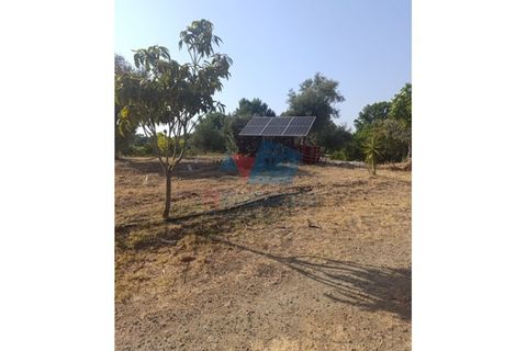 Farm i Beringel, Beja, Beringel - € 215.000 | Ref: FIN_1738 - foto 7