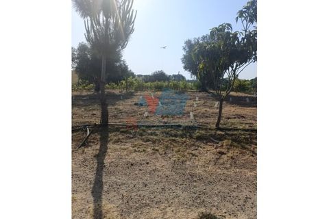 Farm i Beringel, Beja, Beringel - € 215.000 | Ref: FIN_1738 - foto 8