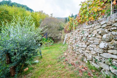 Villa a Ceriana, Imperia, Ceriana - € 90.000 | Ref: 14059 - foto 13