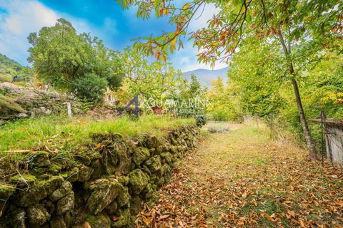 Villa a Ceriana, Imperia, Ceriana - € 90.000 | Ref: 14059 - foto 35