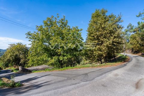 Helårsgrund i Vila Verde, Braga, Vila Verde - € 37.000 | Ref: 01-3733 - foto 7