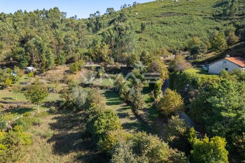 Helårsgrund i Vila Verde, Braga, Vila Verde - € 37.000 | Ref: 01-3733 - foto 16