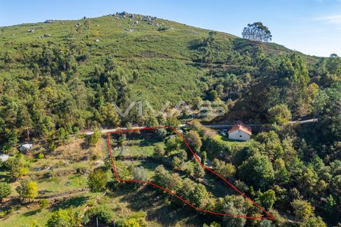 Helårsgrund i Vila Verde, Braga, Vila Verde - € 37.000 | Ref: 01-3733 - foto 17