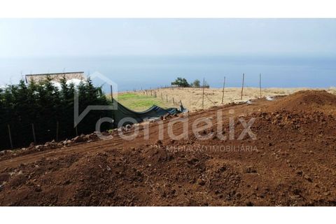 Bungalow i Calheta, Madeira, Calheta - € 1.350.000 | Ref: 101330 - foto 7