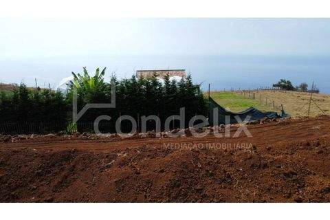 Bungalow i Calheta, Madeira, Calheta - € 1.350.000 | Ref: 101330 - foto 8
