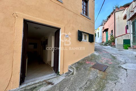 Leilighet i Campo Nell'Elba, Livorno, Campo Nell'Elba - € 115 000 | Ref: CBI123-1458-221 - foto 6