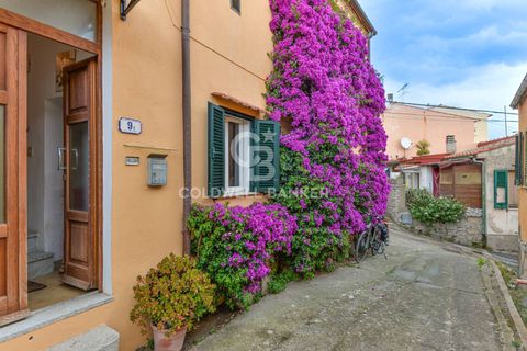 Leilighet i Campo Nell'Elba, Livorno, Campo Nell'Elba - € 215 000 | Ref: CBI123-1458-222 - foto 2
