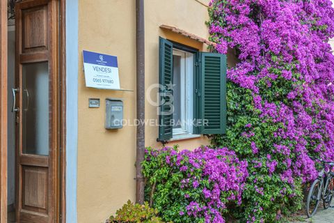 Leilighet i Campo Nell'Elba, Livorno, Campo Nell'Elba - € 215 000 | Ref: CBI123-1458-222 - foto 4