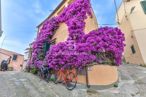 Leilighet i Campo Nell'Elba, Livorno, Campo Nell'Elba - € 215 000 | Ref: CBI123-1458-222 - foto 14