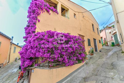 Leilighet i Campo Nell'Elba, Livorno, Campo Nell'Elba - € 215 000 | Ref: CBI123-1458-222 - foto 15