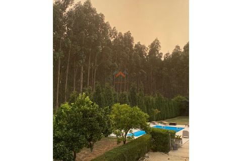 Villa i Barro, Aveiro, Barro - € 567.000 | Ref: 6623 - foto 28