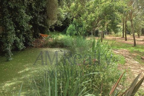 Villa i Cadaval, Lisbon, Cadaval - € 355.000 | Ref: RC.1497105 - foto 25