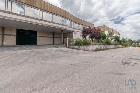 Erhvervsejendom i Ourem, Santarem, Ourem - € 1.380.000 | Ref: 150327 - foto 3