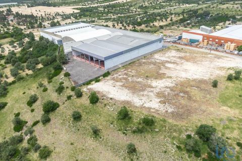 Erhvervsejendom i Ourem, Santarem, Ourem - € 1.380.000 | Ref: 150327 - foto 7