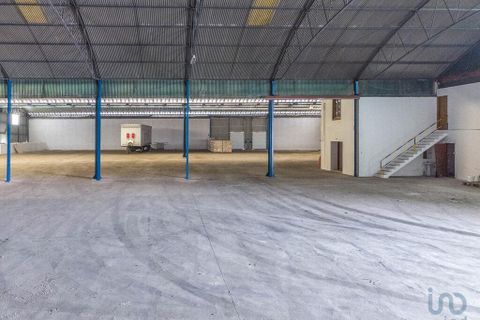Erhvervsejendom i Ourem, Santarem, Ourem - € 1.380.000 | Ref: 150327 - foto 9
