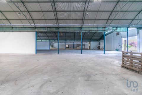 Erhvervsejendom i Ourem, Santarem, Ourem - € 1.380.000 | Ref: 150327 - foto 11
