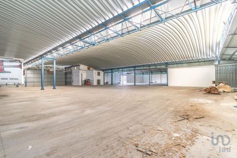 Erhvervsejendom i Ourem, Santarem, Ourem - € 1.380.000 | Ref: 150327 - foto 12