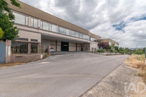 Erhvervsejendom i Ourem, Santarem, Ourem - € 1.380.000 | Ref: 150327 - foto 21