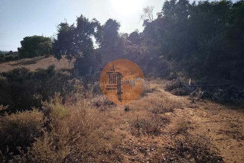 Terra a Castro Marim, Faro, Castro Marim - € 45.000 | Ref: SU-CS-TR-93897 - foto 6