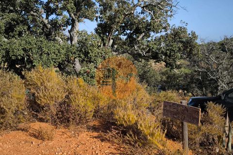 Terra a Castro Marim, Faro, Castro Marim - € 45.000 | Ref: SU-CS-TR-93897 - foto 7
