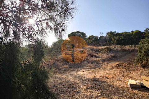 Terra a Castro Marim, Faro, Castro Marim - € 45.000 | Ref: SU-CS-TR-93897 - foto 16