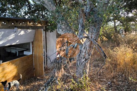 Terra a Castro Marim, Faro, Castro Marim - € 45.000 | Ref: SU-CS-TR-93897 - foto 22