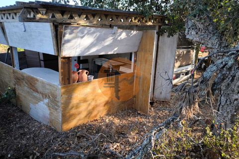 Terra a Castro Marim, Faro, Castro Marim - € 45.000 | Ref: SU-CS-TR-93897 - foto 23