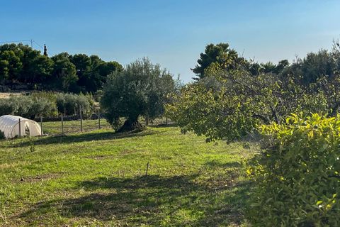 Villa Palma di Montechiaro, Agrigento, Palma di Montechiaro - € 195.000 | Ref: Casa Brigitte - Palma di M. - photo 24