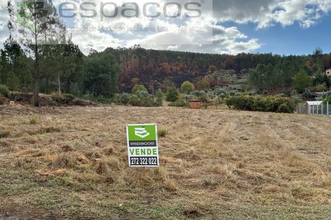 Farm i Paul, Castelo Branco, Paul - € 80.000 | Ref: 5881/CP - foto 5