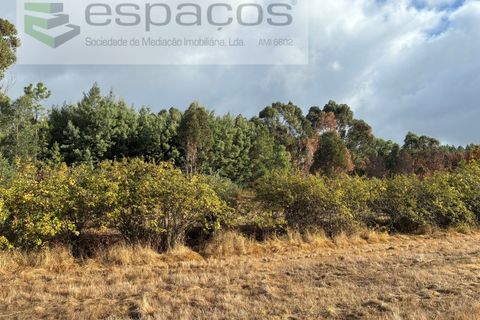 Farm i Paul, Castelo Branco, Paul - € 80.000 | Ref: 5881/CP - foto 6