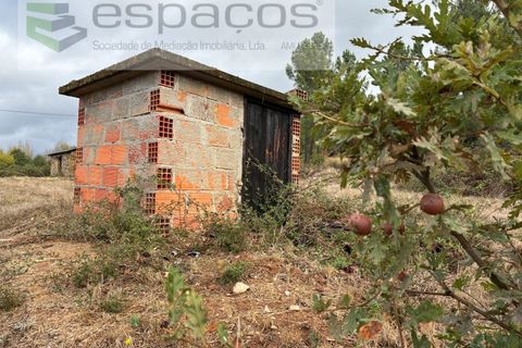 Farm i Paul, Castelo Branco, Paul - € 80.000 | Ref: 5881/CP - foto 8