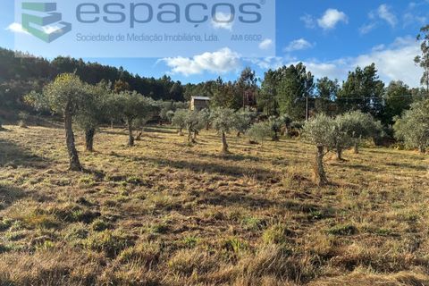 Farm i Paul, Castelo Branco, Paul - € 80.000 | Ref: 5881/CP - foto 1