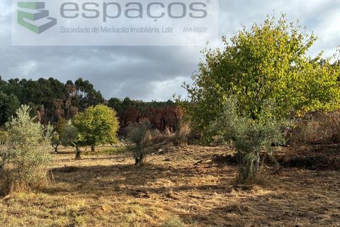 Farm i Paul, Castelo Branco, Paul - € 80.000 | Ref: 5881/CP - foto 17