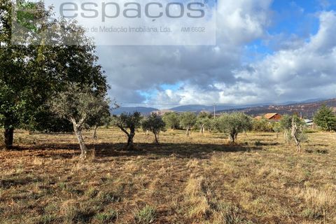 Farm i Paul, Castelo Branco, Paul - € 80.000 | Ref: 5881/CP - foto 22
