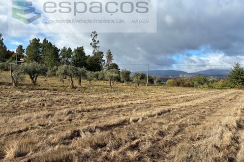 Farm i Paul, Castelo Branco, Paul - € 80.000 | Ref: 5881/CP - foto 24