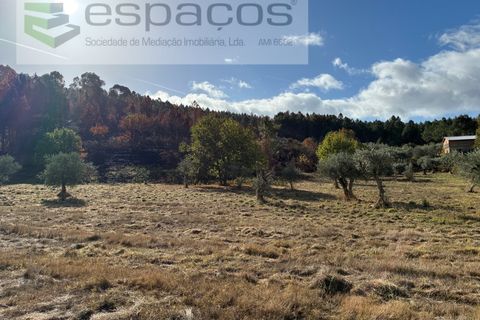 Farm i Paul, Castelo Branco, Paul - € 80.000 | Ref: 5881/CP - foto 25