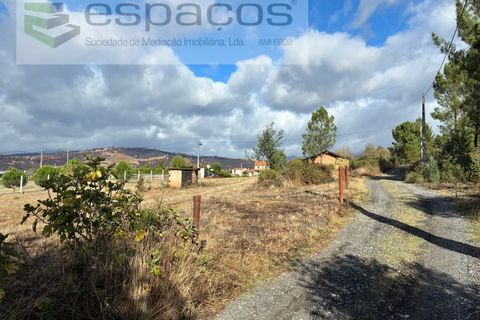 Farm i Paul, Castelo Branco, Paul - € 80.000 | Ref: 5881/CP - foto 30