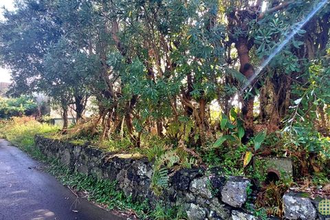 Byhus i Horta, Faial, Horta - € 60.000 | Ref: 729 - foto 11