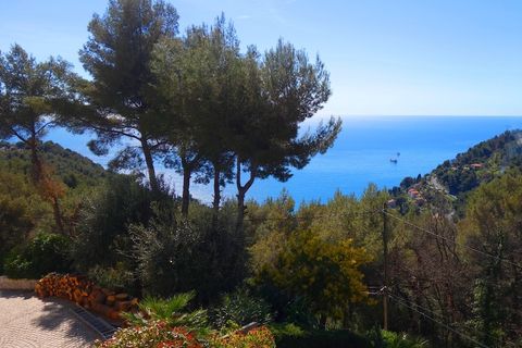 Villa i Roquebrune-Cap-Martin, Alpes-Maritimes, Roquebrune-Cap-Martin - € 1.600.000 | Ref: HH-15963837 - foto 14