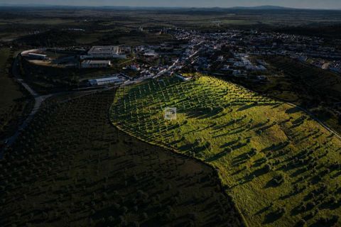 Farm hus i Arraiolos, Evora, Arraiolos - € 1.350.000 | Ref: DTJ/0208 - foto 1