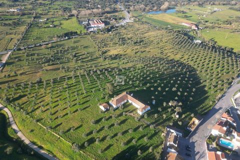 Farm hus i Arraiolos, Evora, Arraiolos - € 1.350.000 | Ref: DTJ/0208 - foto 5