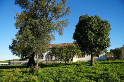 Farm hus i Arraiolos, Evora, Arraiolos - € 1.350.000 | Ref: DTJ/0208 - foto 16