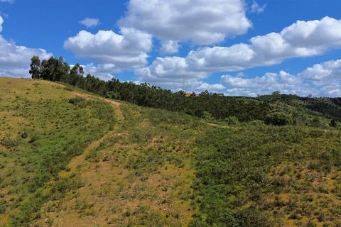 Villa a Odemira, Beja, Odemira - € 480.000 | Ref: 281601016 - foto 12